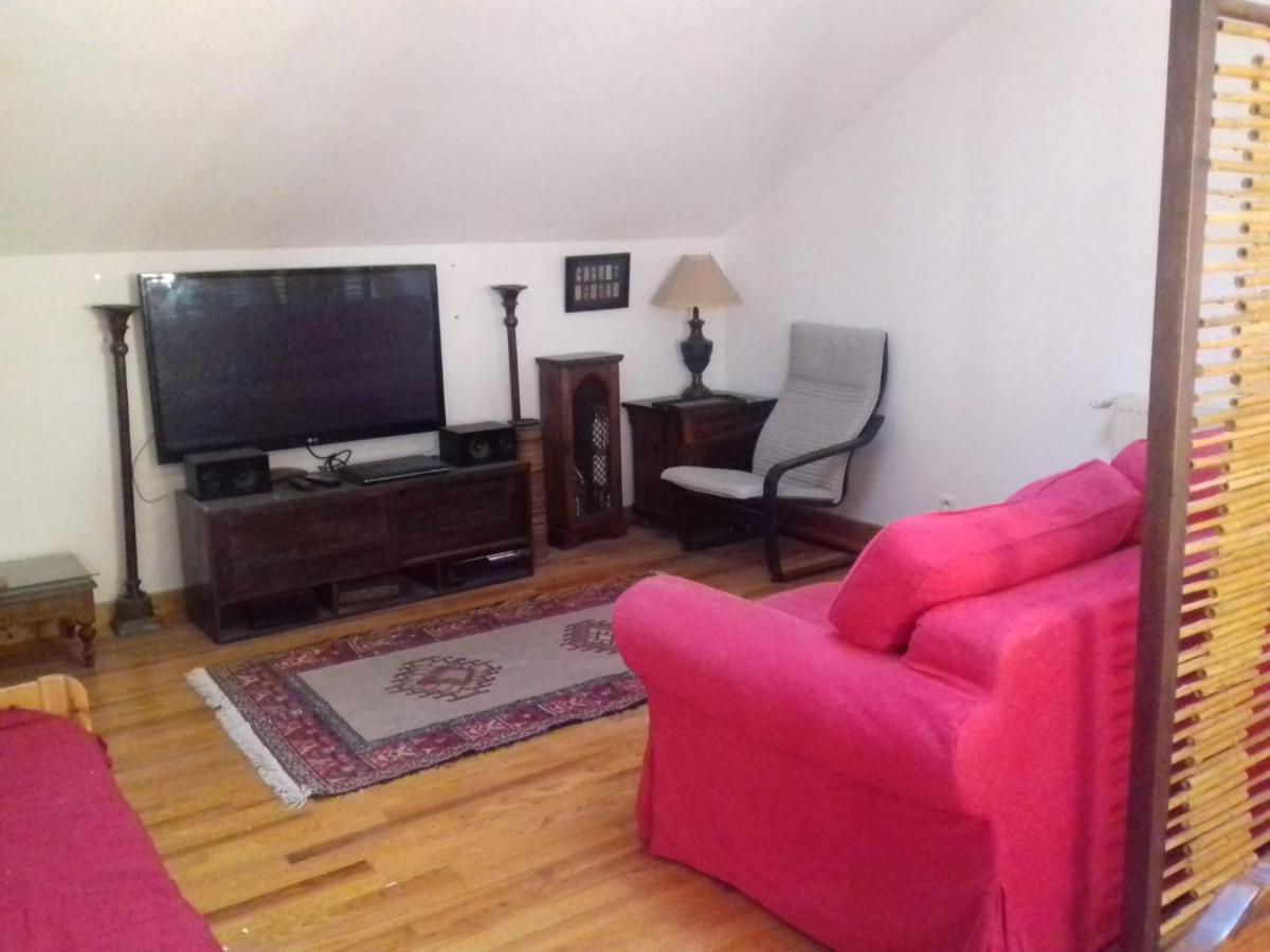 Appartement en loft 50m2 dans maison avec chambre en mezzanine et canapes lits dans salon - travaux extérieurs jusqu'en mars 2021 Saint-Pierre-de-Chartreuse Esterno foto