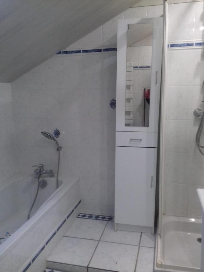Appartement en loft 50m2 dans maison avec chambre en mezzanine et canapes lits dans salon - travaux extérieurs jusqu'en mars 2021 Saint-Pierre-de-Chartreuse Esterno foto